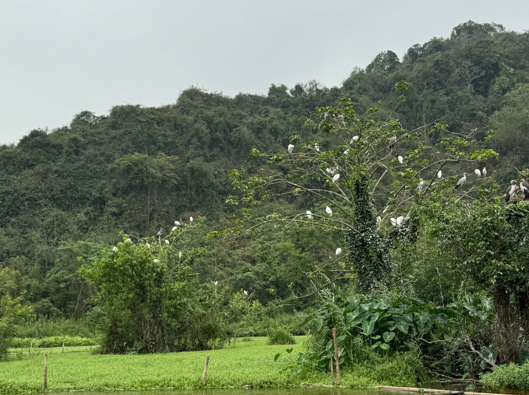 Thung Nham Ecotourism Zone - Ninh Binh-Ninh Hai必去景点