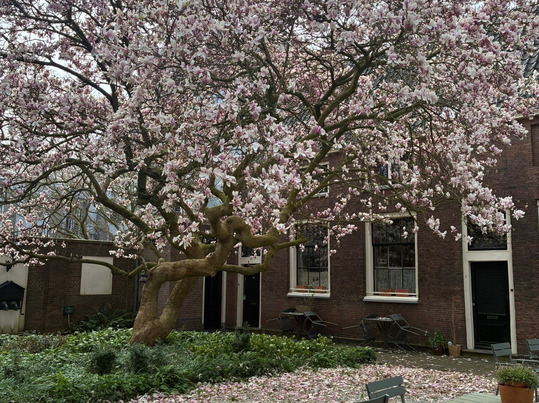 Rijksmonument Jean Pesijnhofje Leiden-莱顿必去景点