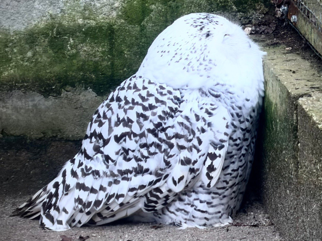Le Refuge de l'Arche-Chateau-Gontier必去景点