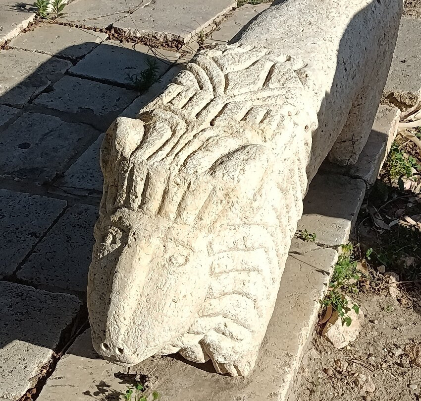 Pupput Roman Site-哈玛麦德必去景点