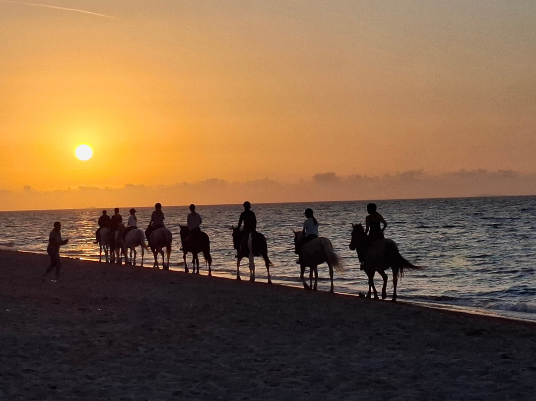 Erika's Horse Farm Kos-Marmari必去景点