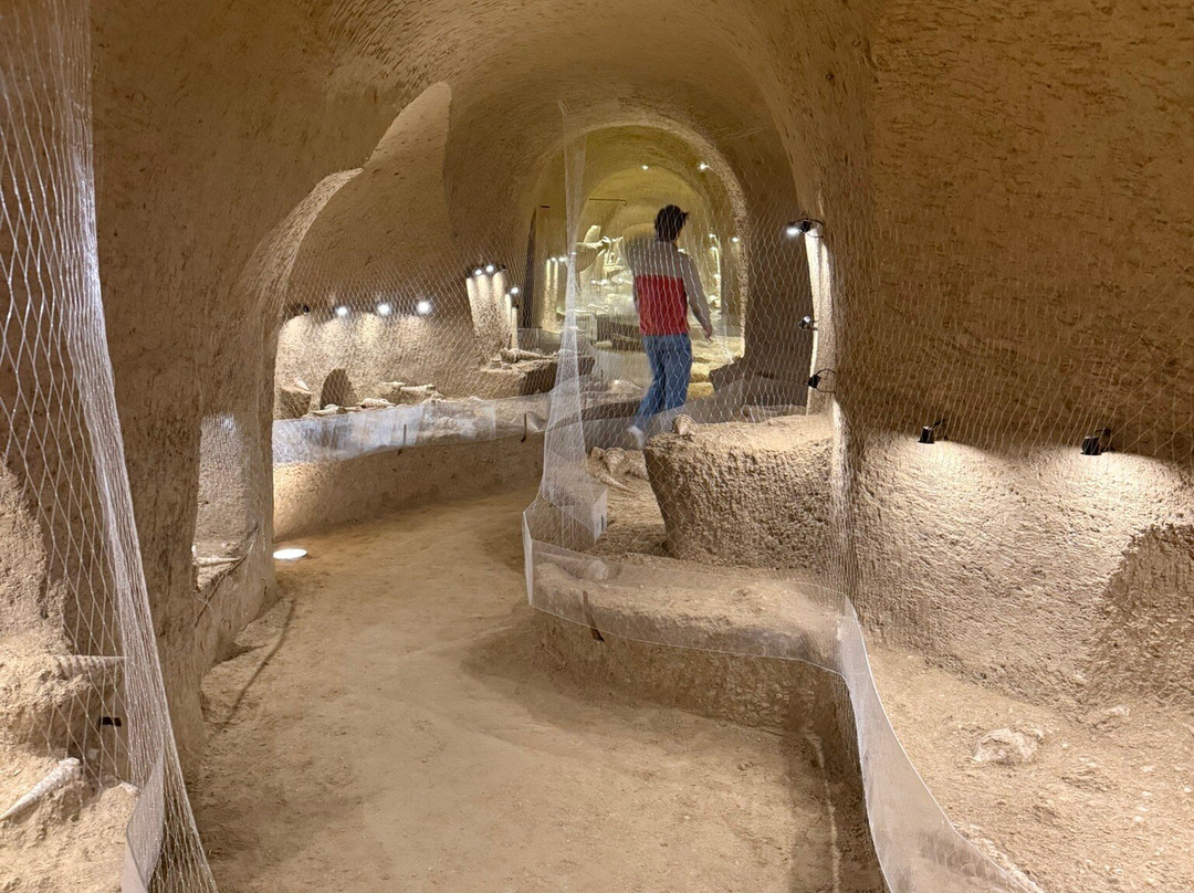 La Cave Aux Coquillages-Fleury-la-Riviere必去景点