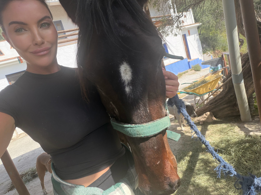 Horse Riding El Chorro-El Chorro必去景点