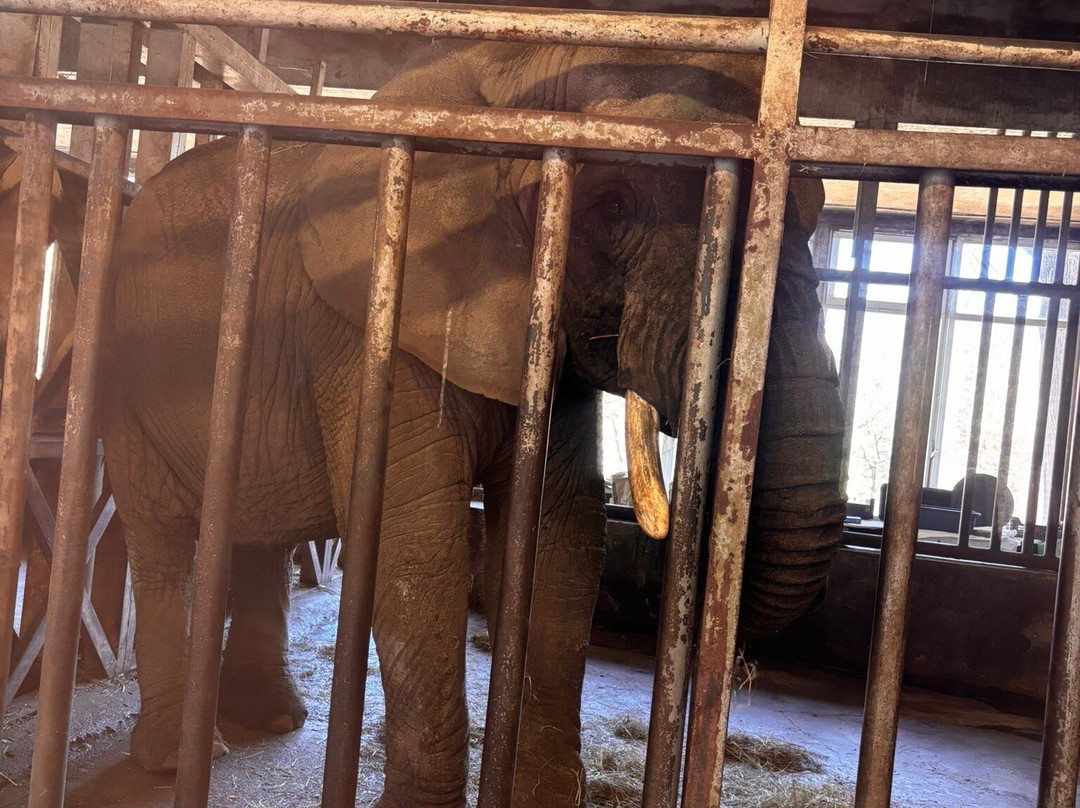 Oliwa Zoo-格但斯克必去景点