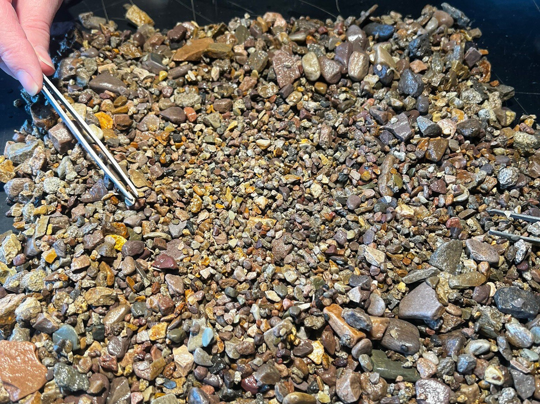 Gem Mountain Sapphire Mine-菲利普斯堡必去景点
