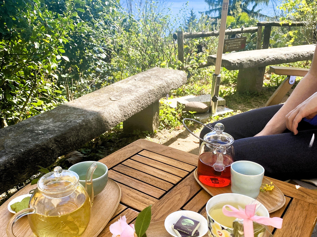 Casa Del Te-阿斯科纳必去景点