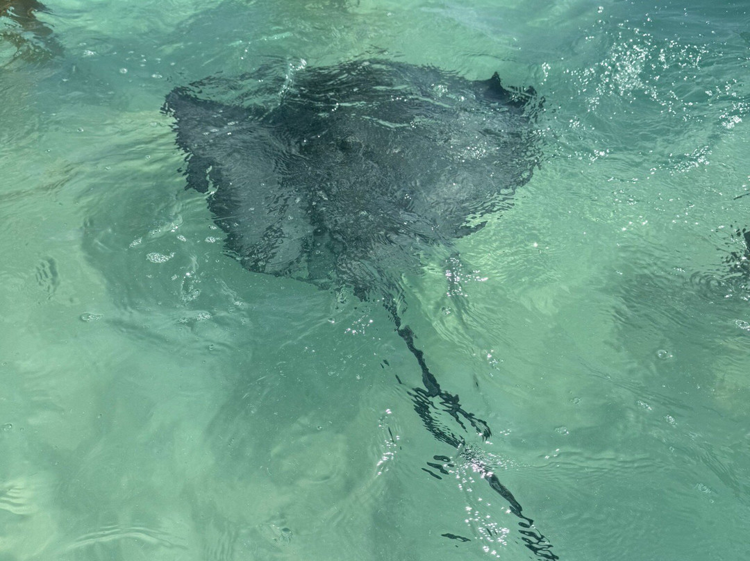 Playa El Cielo Cozumel-考祖梅必去景点