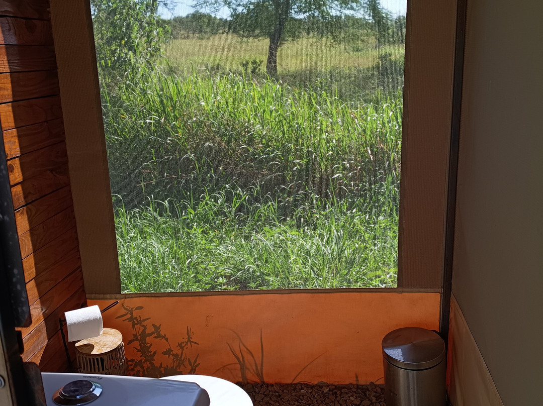 Nyssa Balloon Safaris-Seronera必去景点