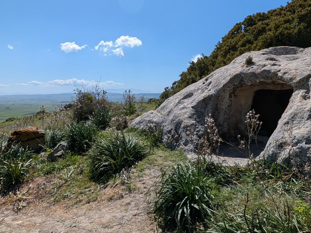 Vivisardinia-Collinas必去景点