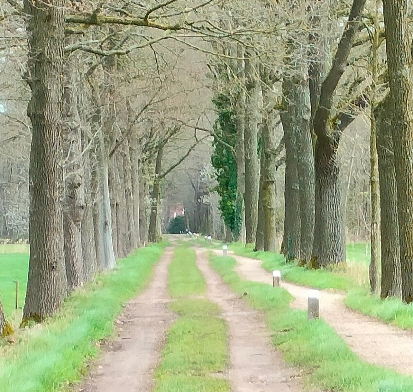 Veenemaat