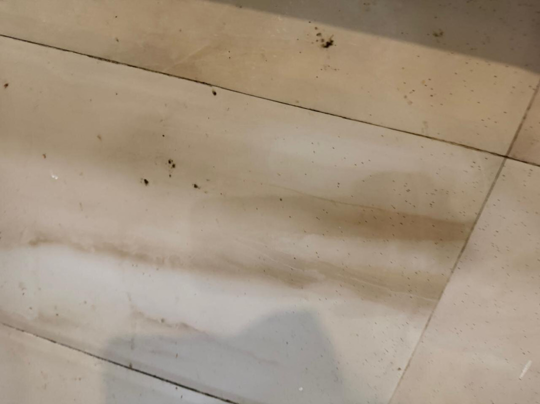 斯特林甘托克 - 橘村娱乐场度假村酒店主图