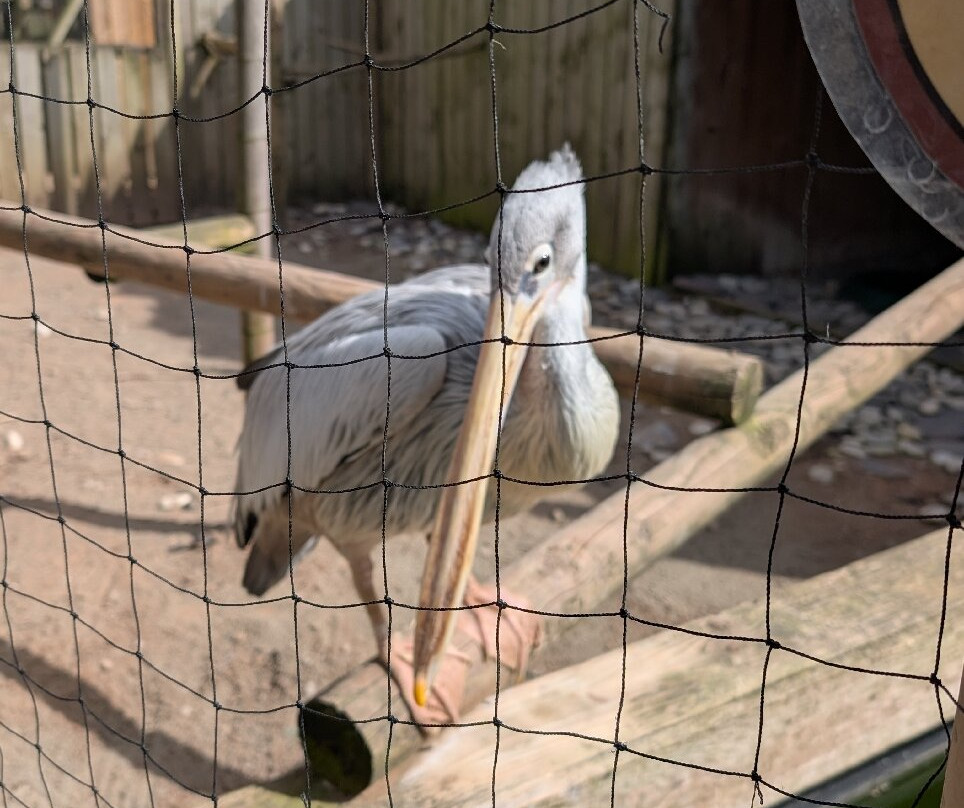 Wild Zoological Park-Bobbington必去景点