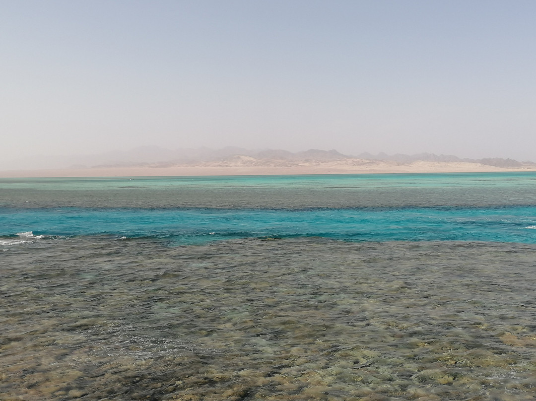 Kiko Sharm-沙姆沙伊赫必去景点