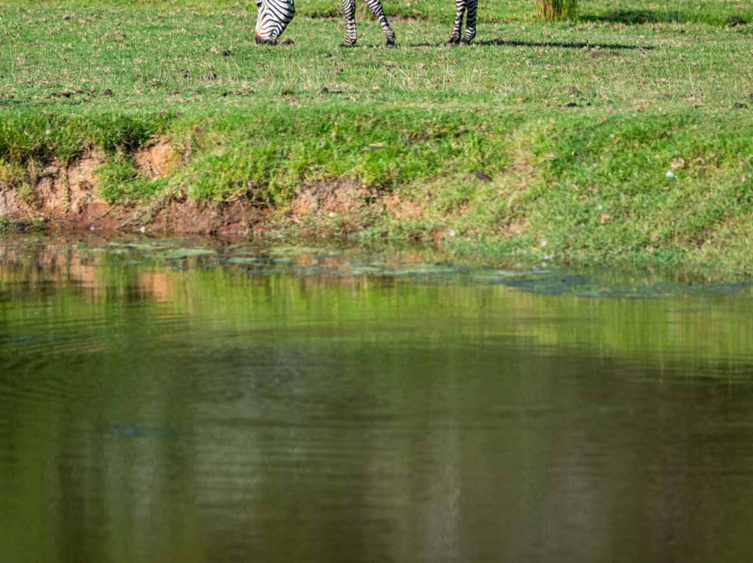 波特利斯科普私人猎区酒店主图