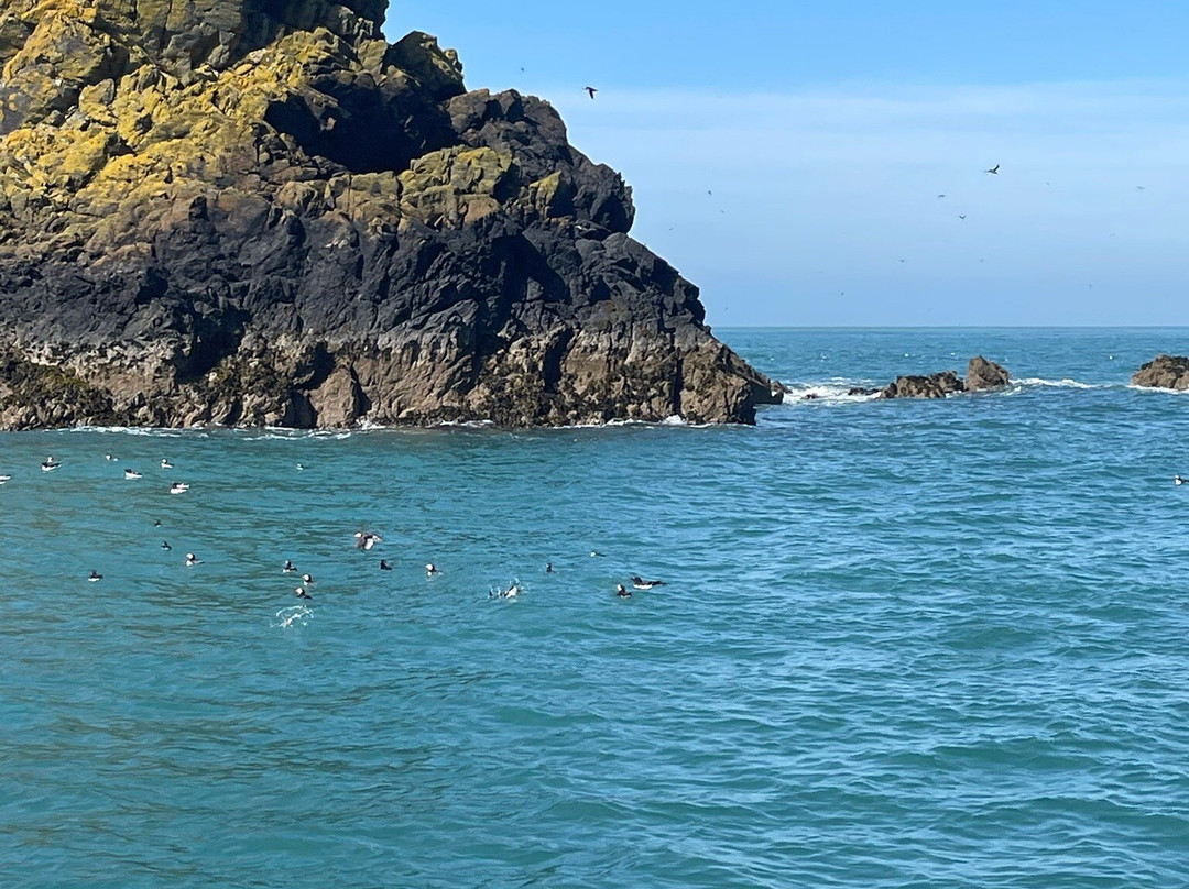 Pembrokeshire Islands Boat Trips-Marloes必去景点