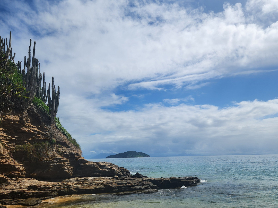 Praia da Tartaruga-布基亚斯必去景点