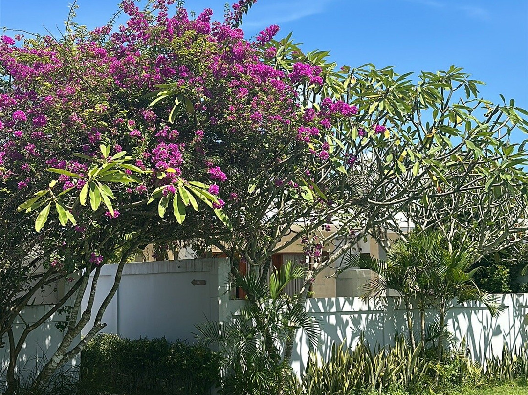 吉利龙目岛阿内玛健康别墅及水疗主图