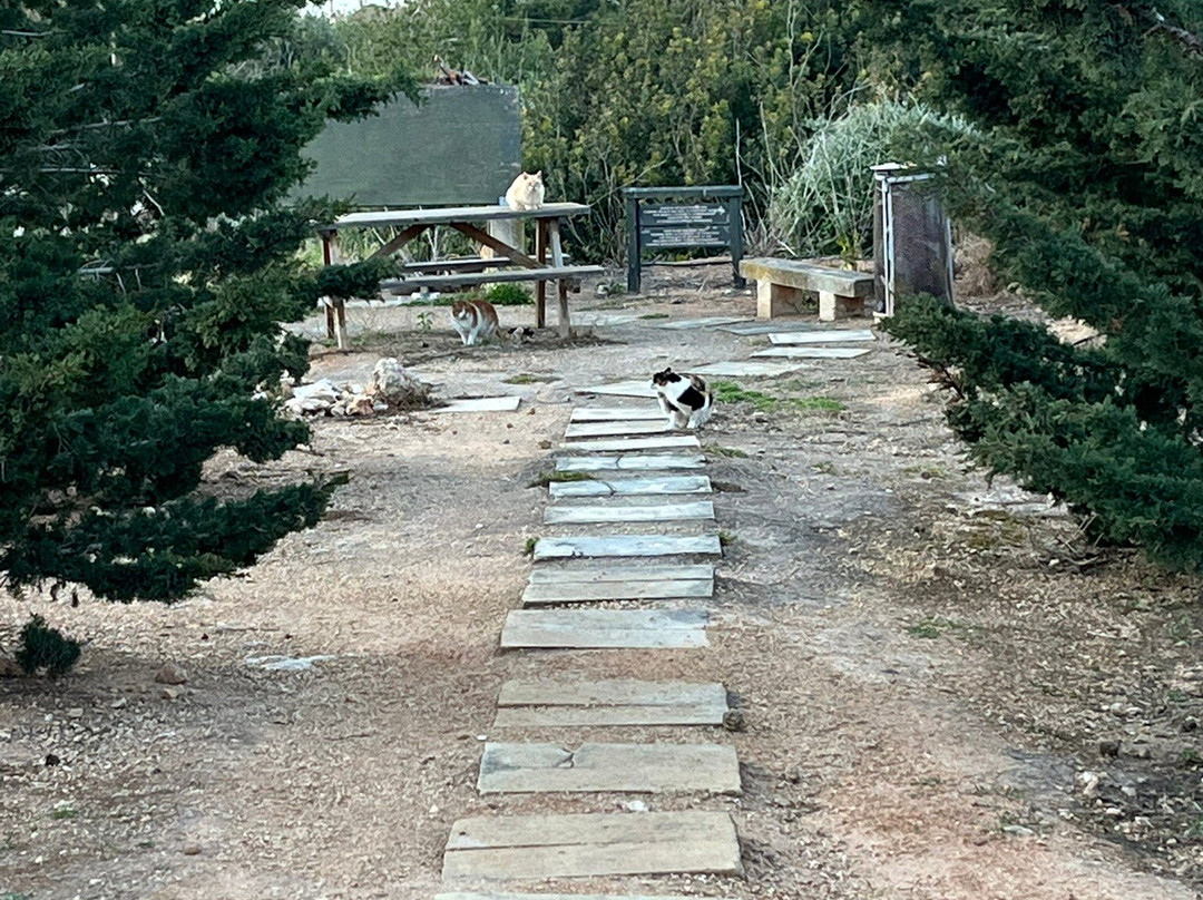 梅利哈度假中心酒店主图