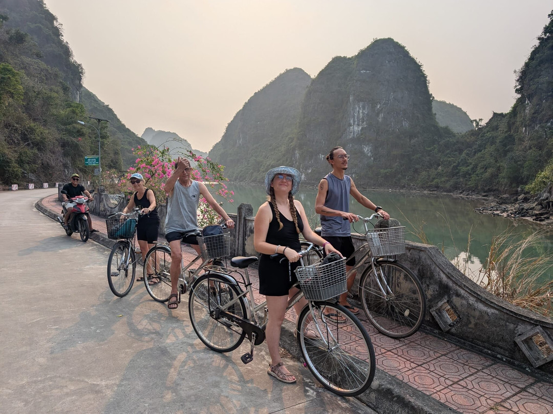 Cat Ba Ocean Cruises-广宁省必去景点