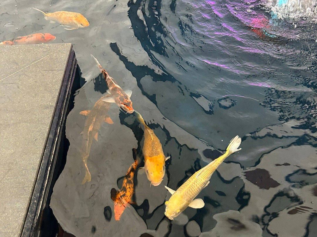 Angkor Wildlife & Aquarium-暹粒必去景点