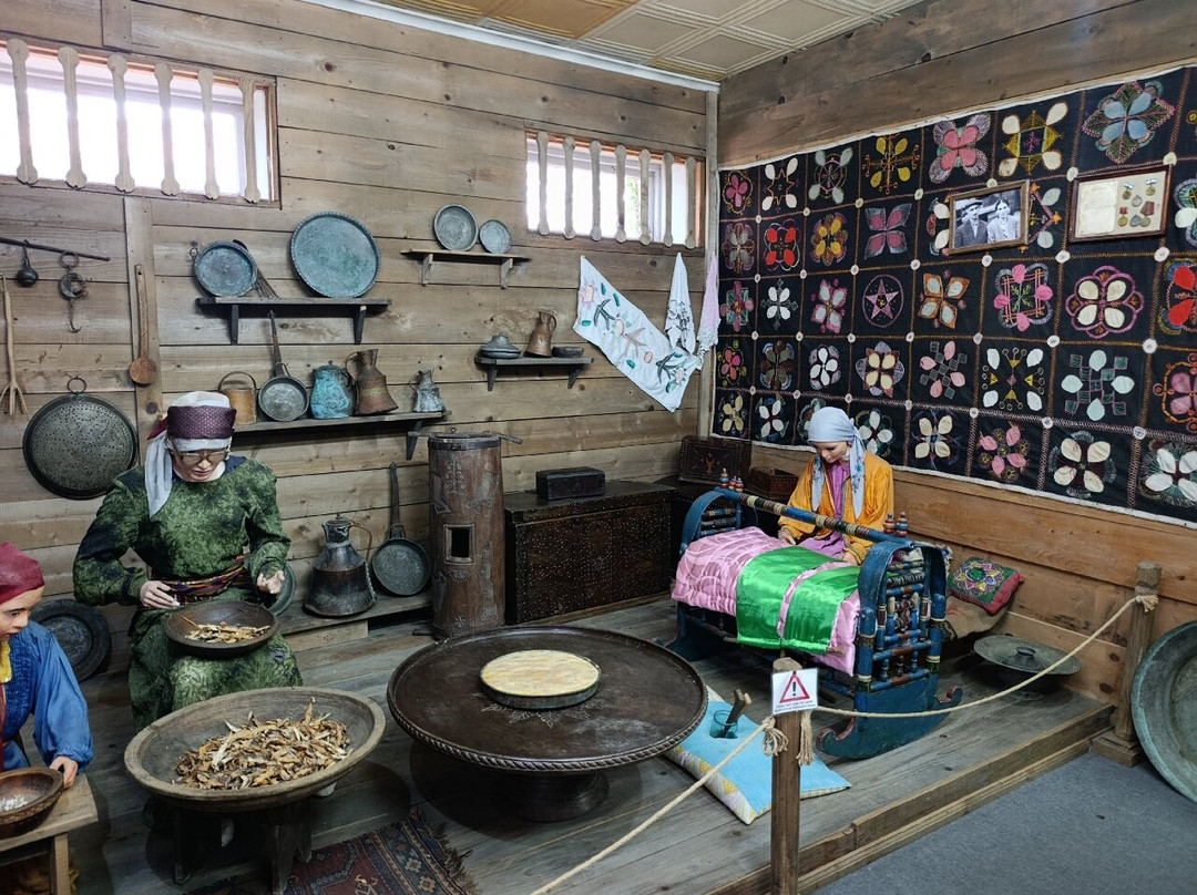 Ethnographic Museum "Borjgalo"-巴统必去景点