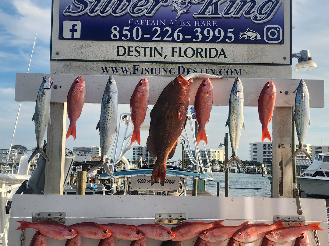 Silver King Charters of Destin-Sandestin必去景点