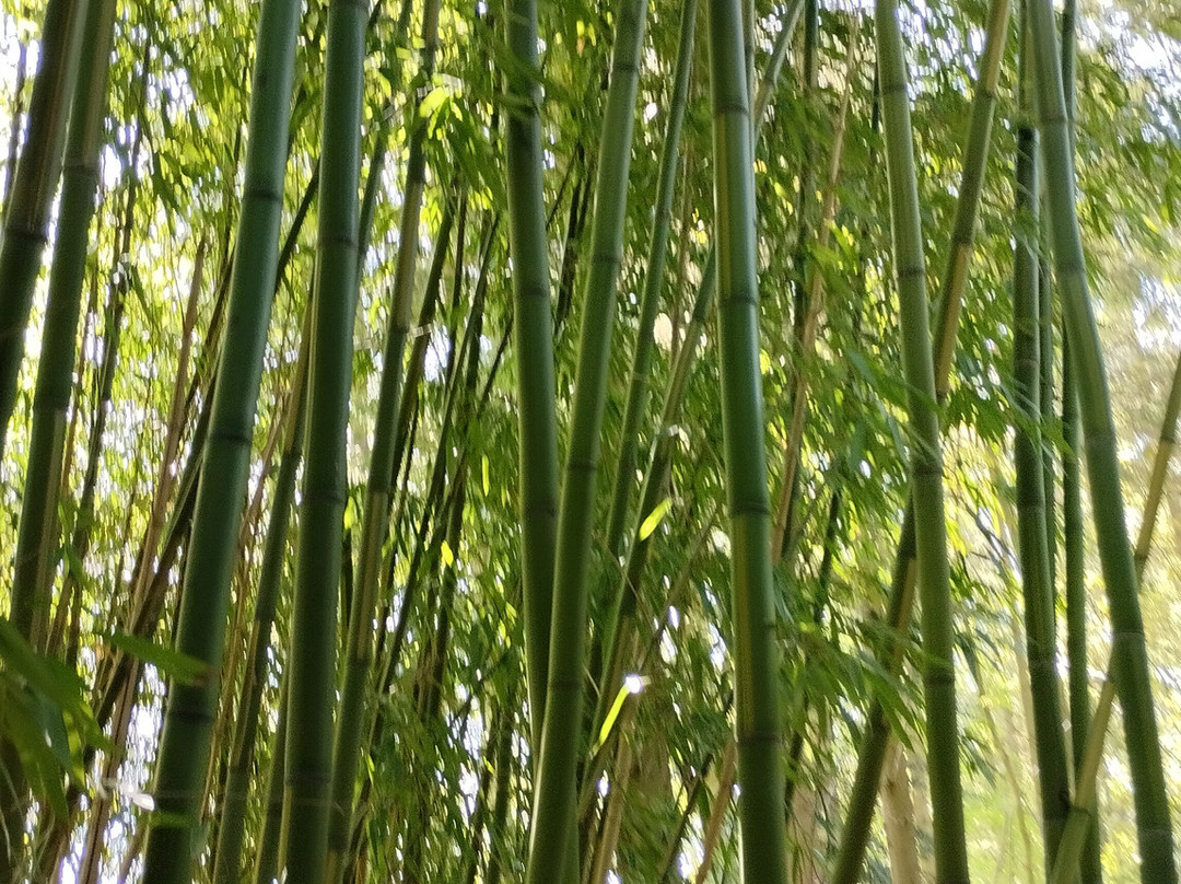 Jungle Garden-Eu必去景点