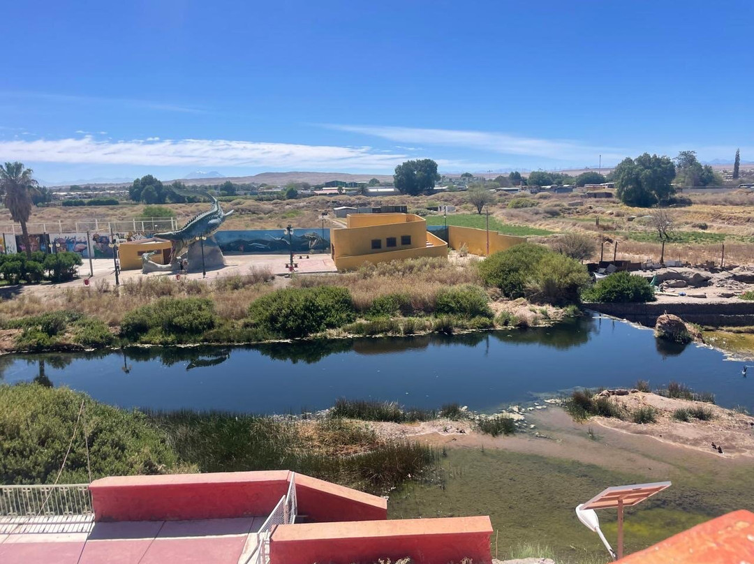 Parque El Loa-Calama必去景点