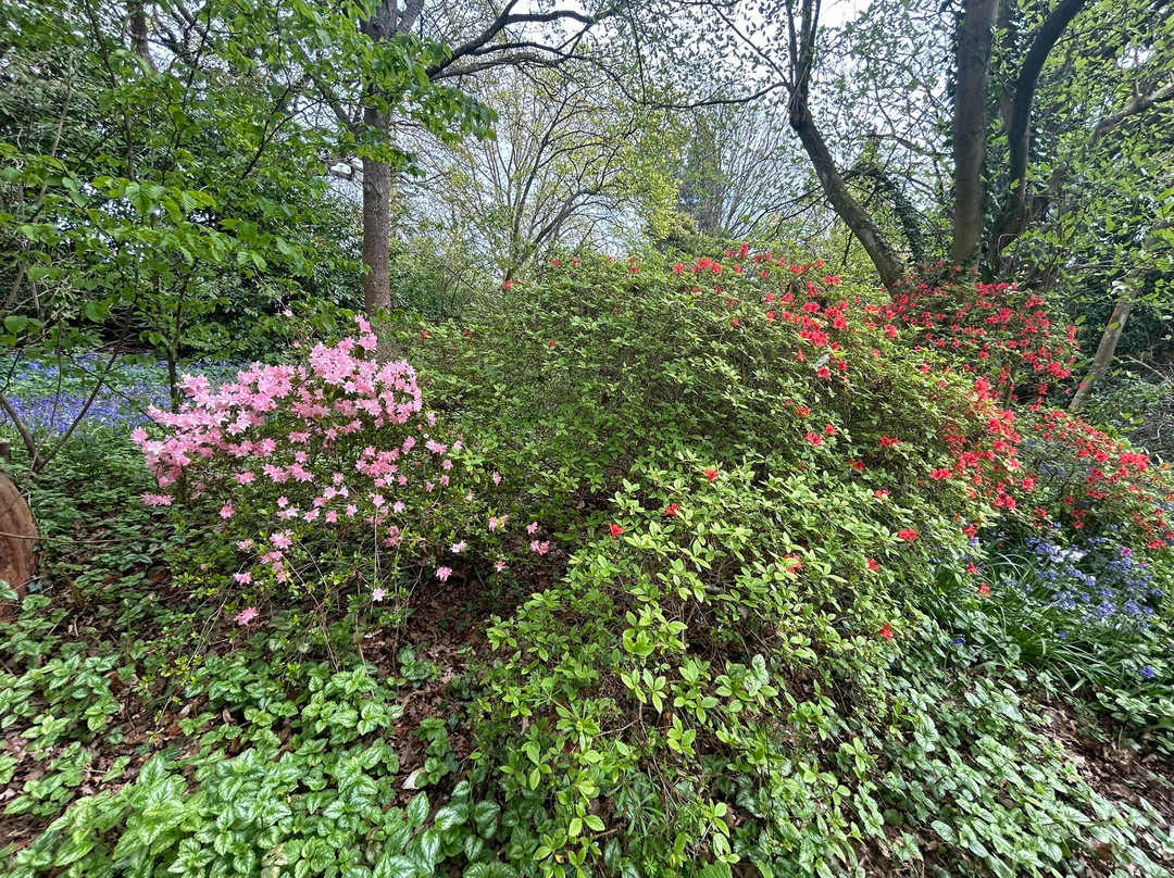 Great Comp Garden-Platt必去景点