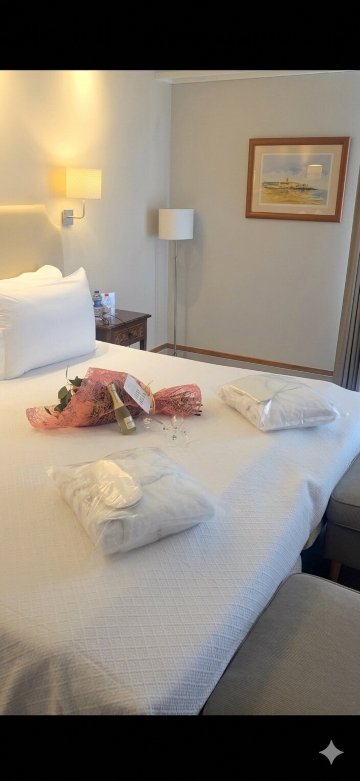 索拉帕尔梅拉斯酒店-旅行者