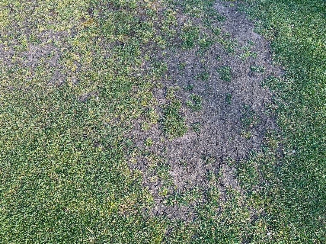Bootle Golf Course & Driving Range-布特尔必去景点