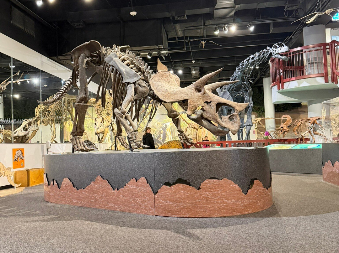 Arizona Museum Of Natural History-梅萨必去景点