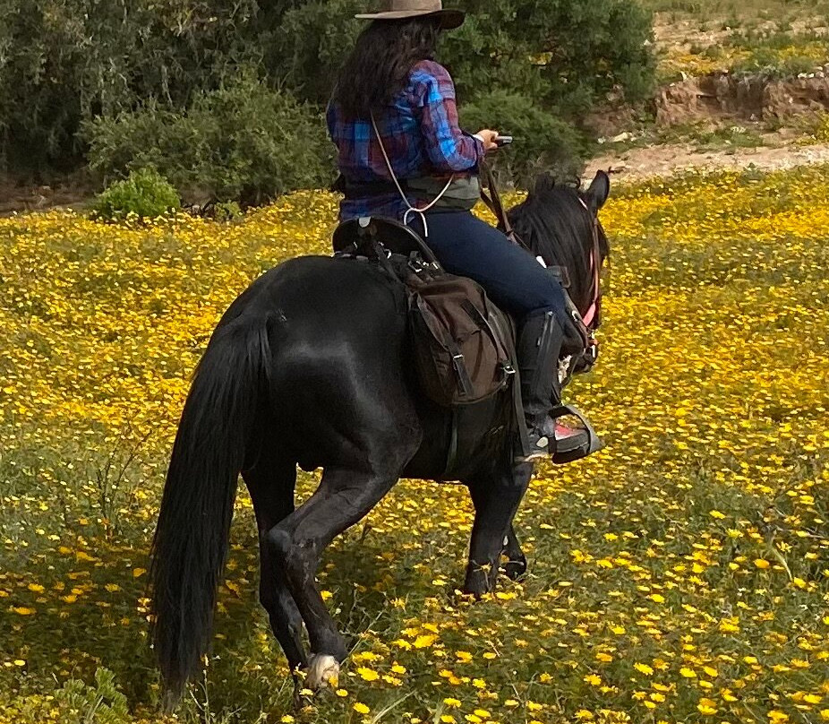 Ranch de Diabat-索维拉必去景点