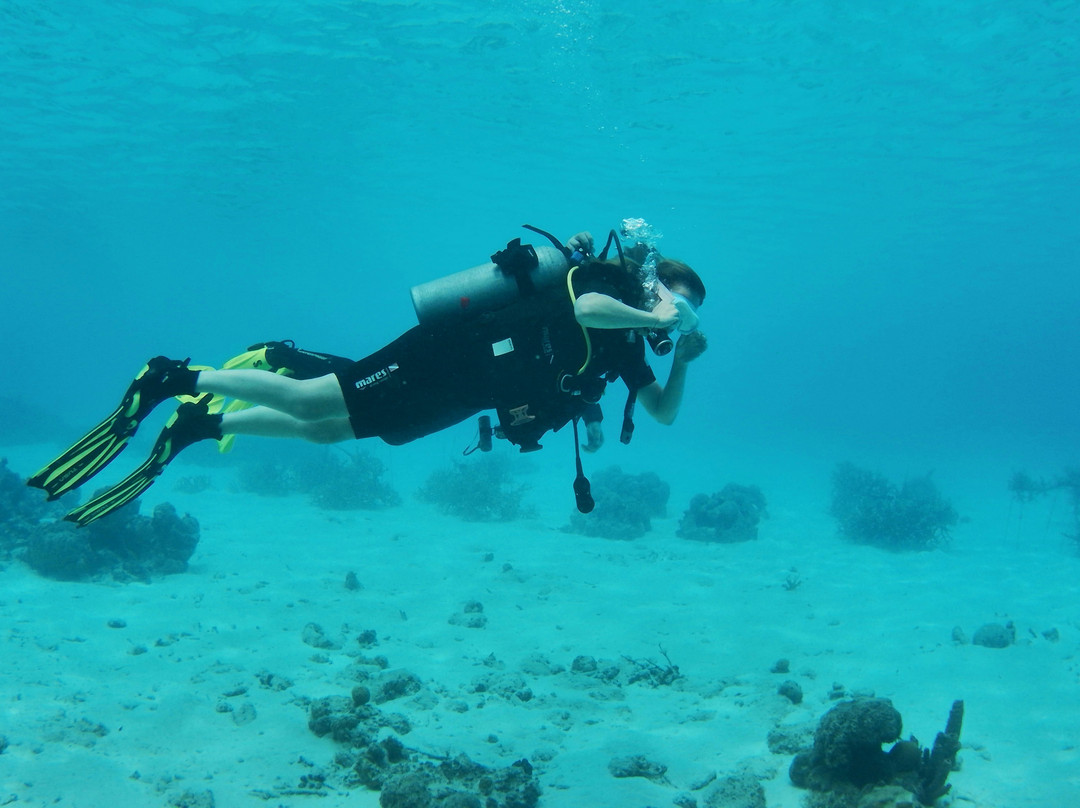 Porto Mari Dive Center-Sint Willibrordus必去景点