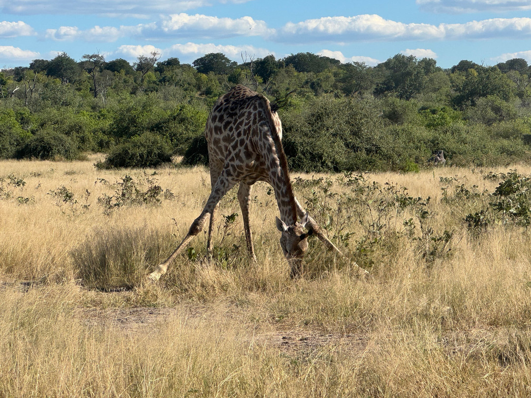 Africa's Best Adventures-开普敦必去景点