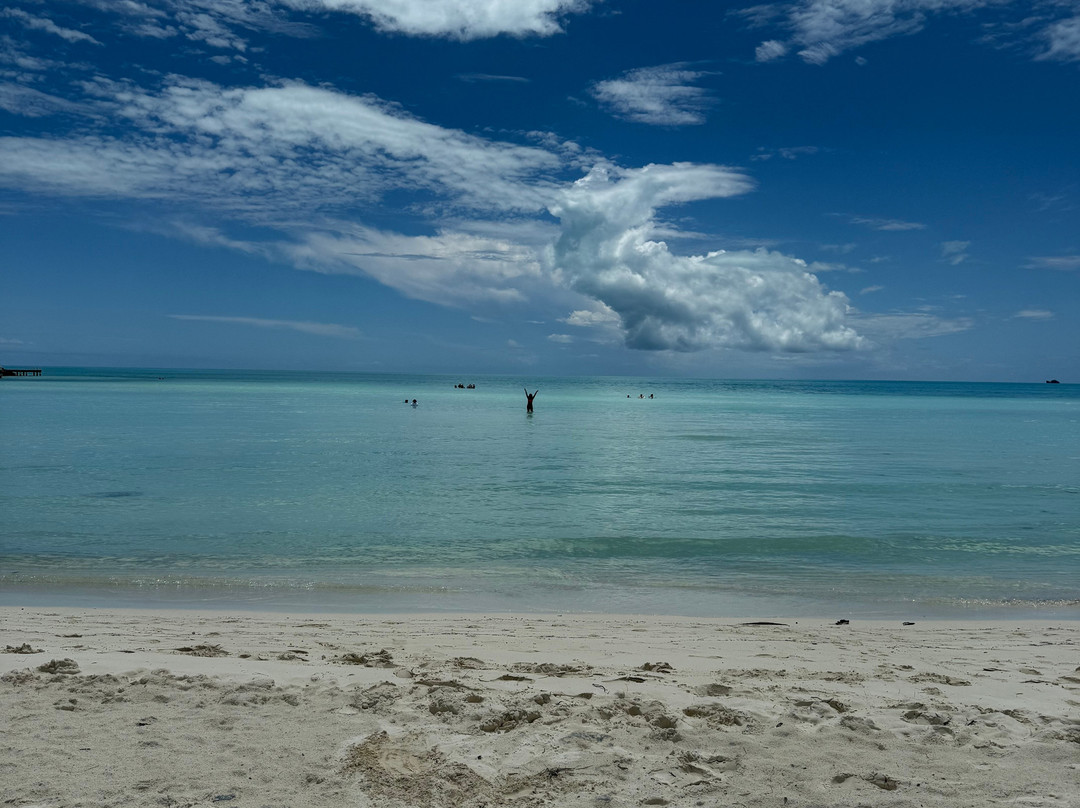 Taylor Bay Beach-普罗维登西亚莱斯必去景点