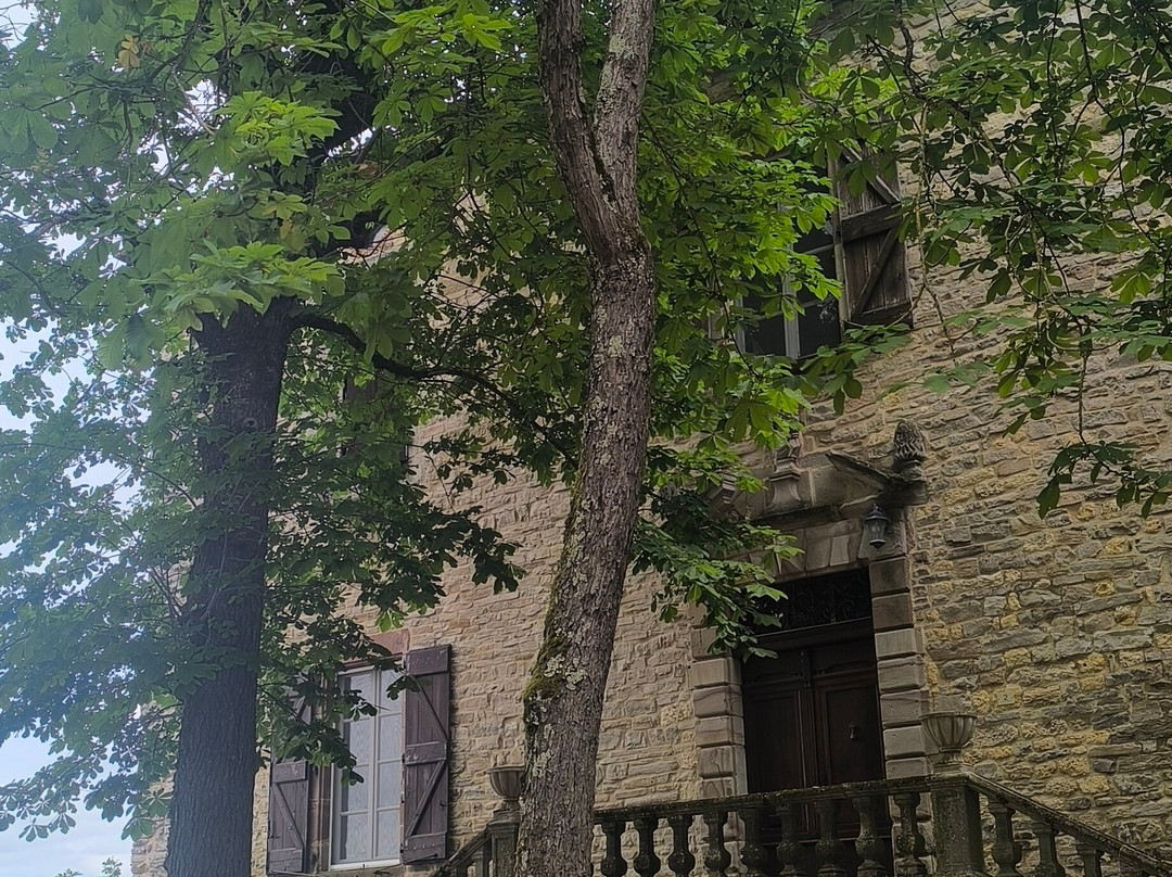 Halle de Cordes-sur-Ciel-谢河畔科尔德必去景点