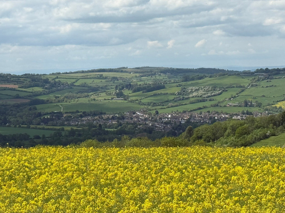 Cotswold Tours & Travel-莫顿因马什必去景点