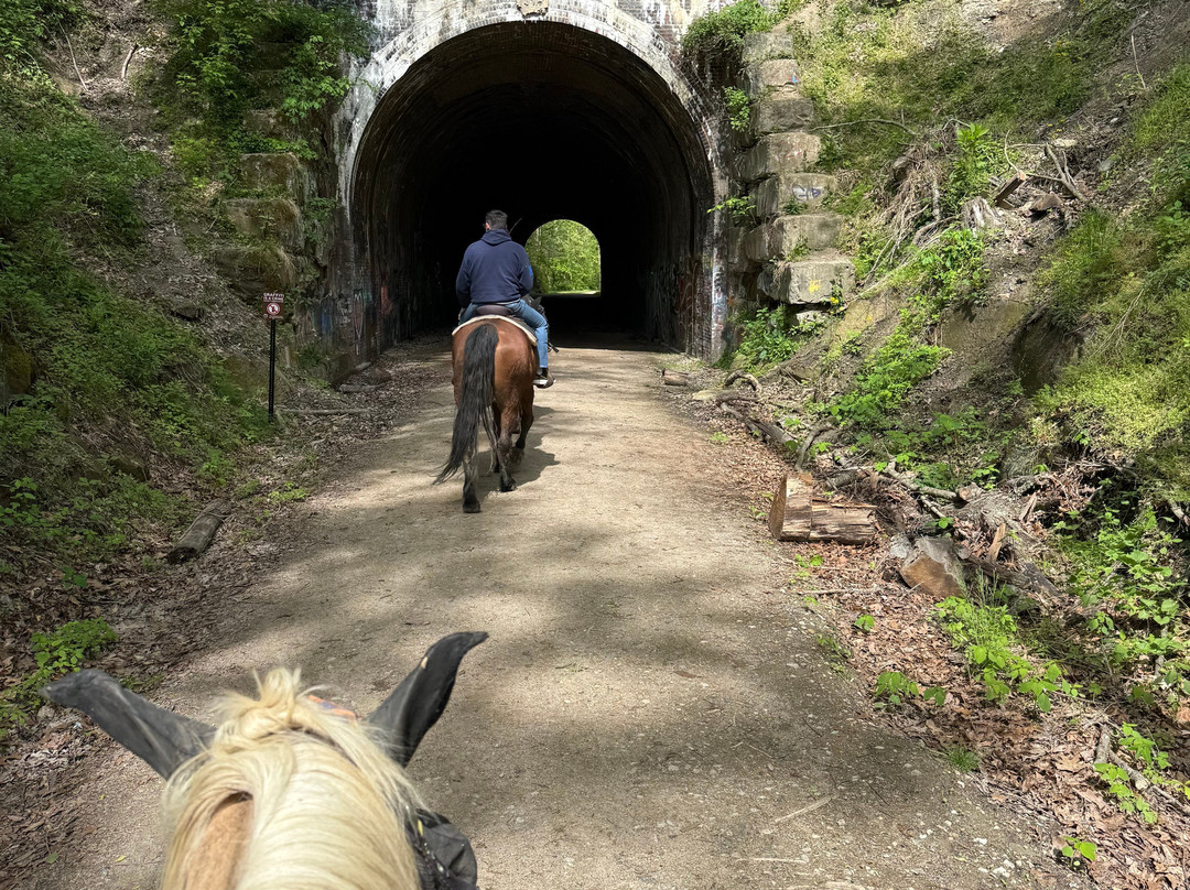 Uncle Buck's Riding Stable-New Marshfield必去景点