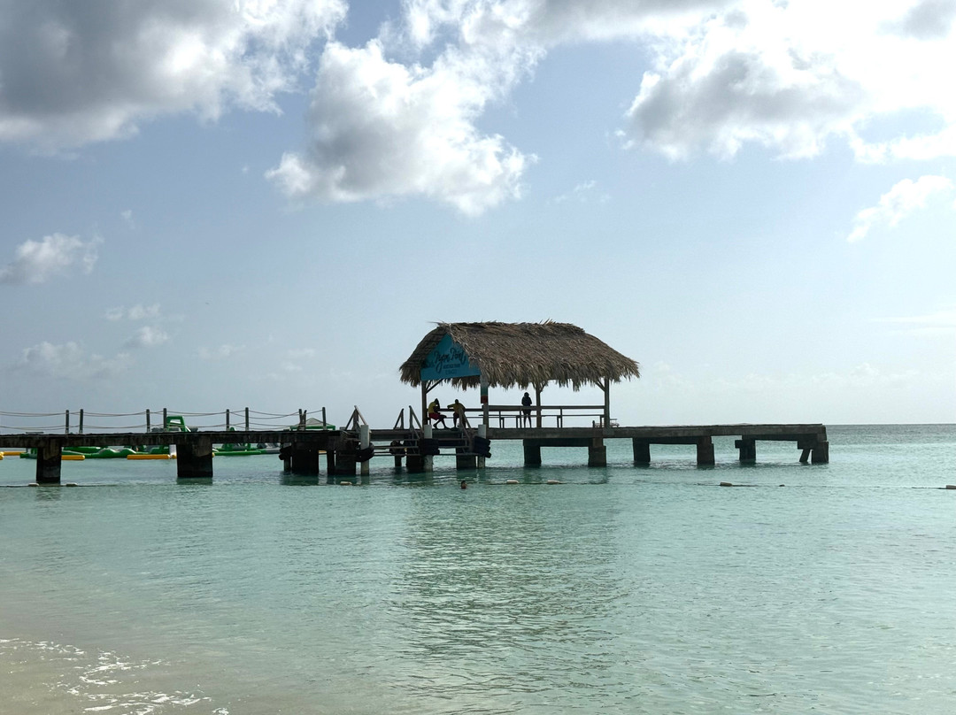 Pigeon Point Beach-多巴哥必去景点