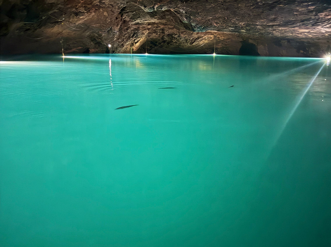 The Lost Sea Adventure-Sweetwater必去景点