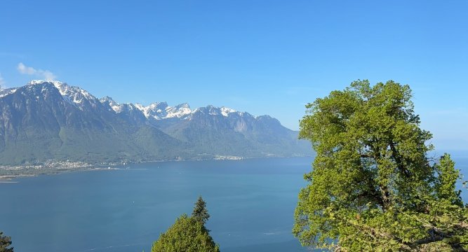格里昂维多利亚酒店-旅行者