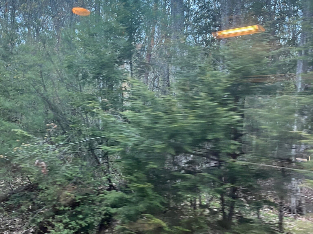 Conway Scenic Railroad-北康威必去景点