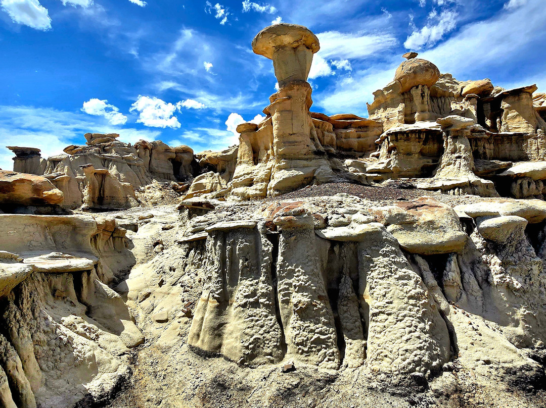 Ah-Shi-Sle-Pah Wilderness Study Area-Bloomfield必去景点