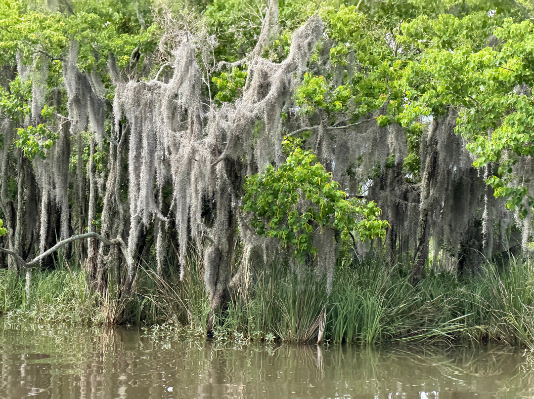 New Orleans Airboat Tours-Marrero必去景点