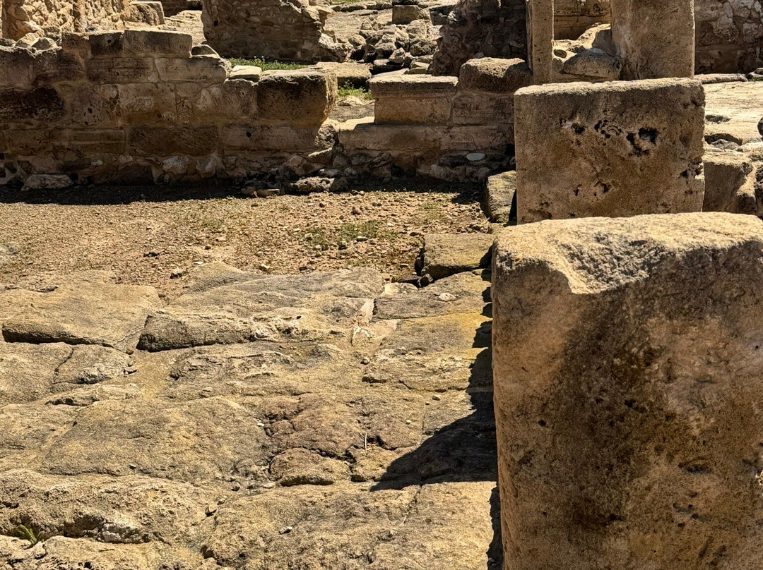 Kato Paphos Archaeological Park-帕福斯必去景点