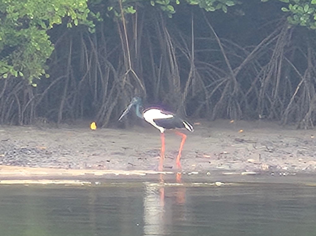 Hinchinbrook Island Tours-Hinchinbrook Island必去景点