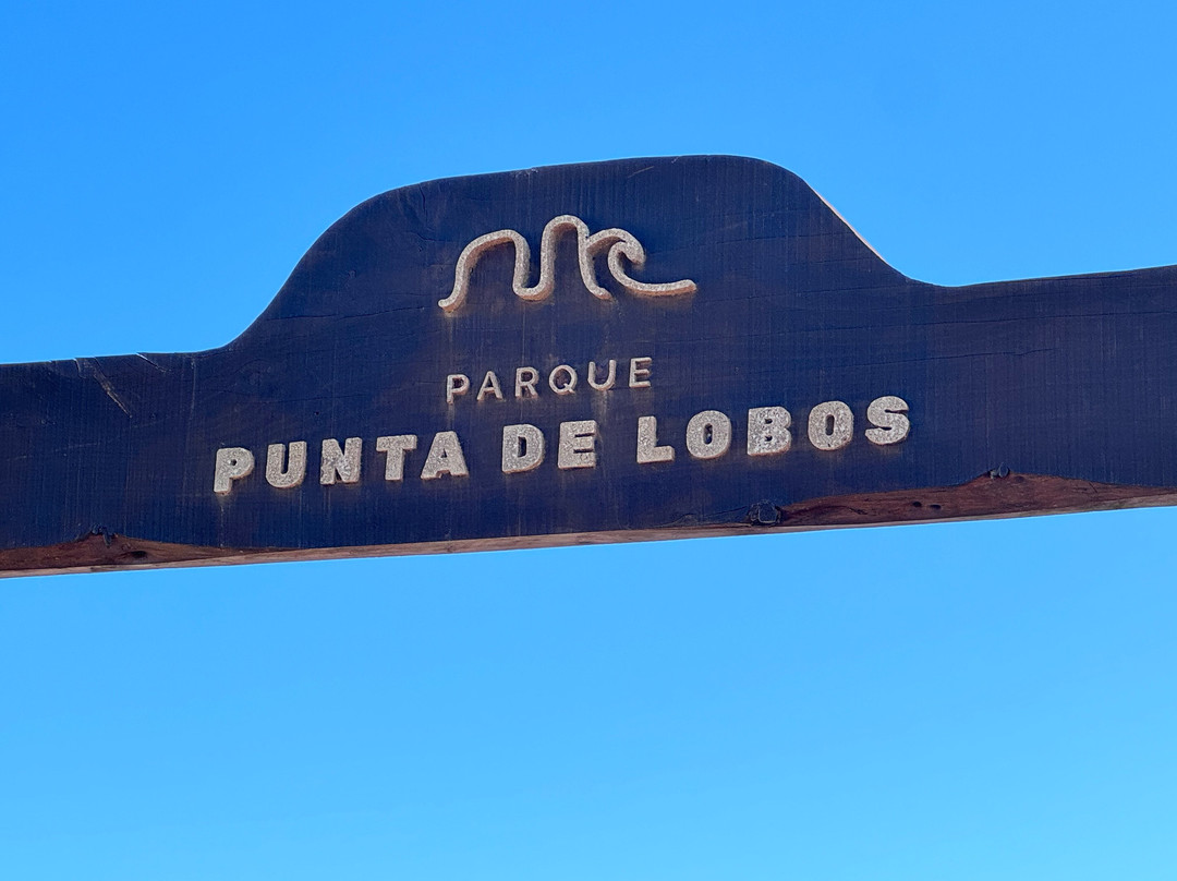 Punta De Lobos-皮钦勒姆必去景点