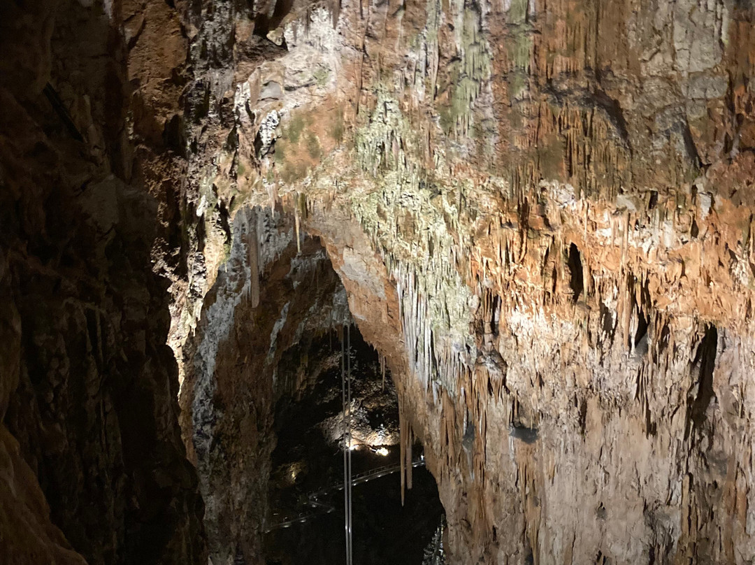 Grotta Gigante-Borgo Grotta Gigante必去景点