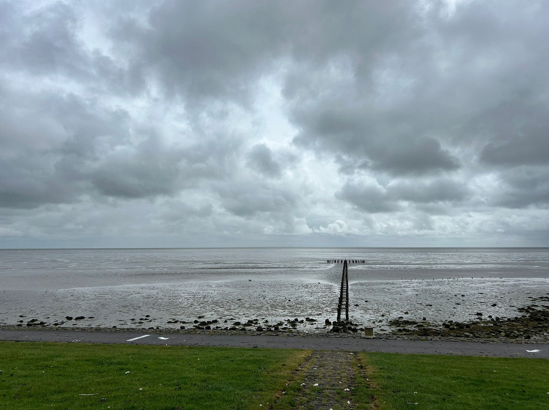 Puur Terschelling-Terschelling必去景点